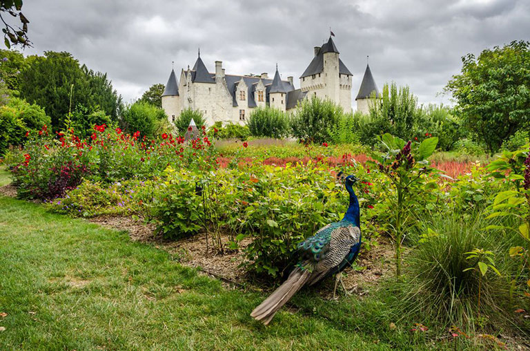 9 Real-Life Fairy Tale Gardens