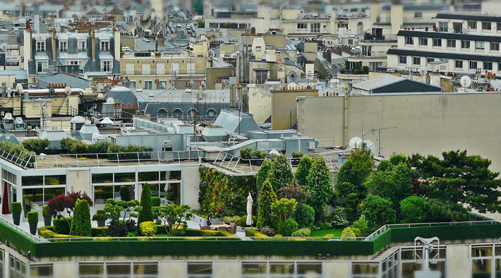 Terrace - Roof Garden