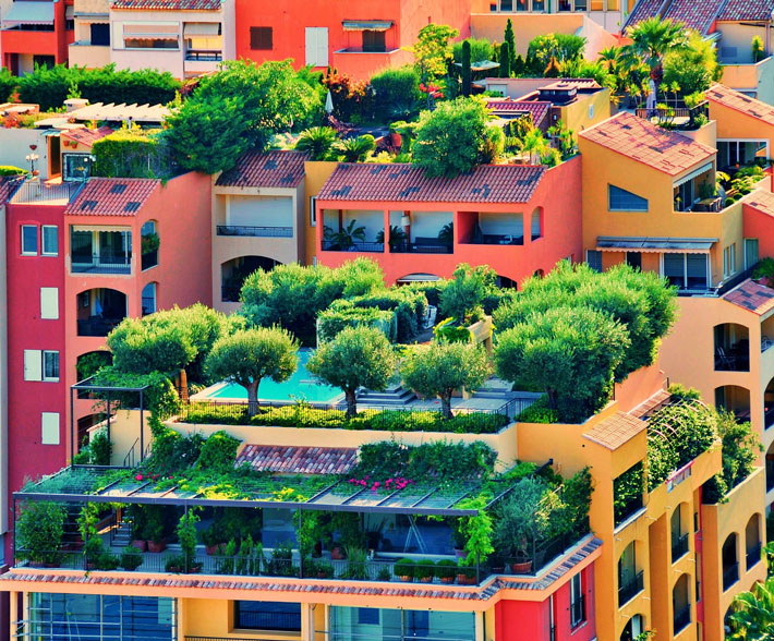 Terrace - Roof Garden