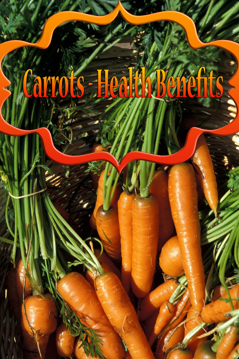 Carrots - Health Benefits