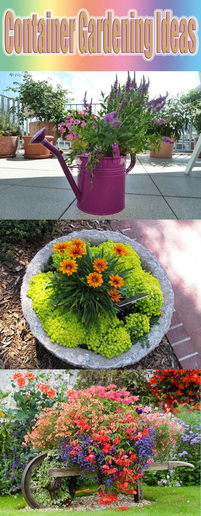 Container Gardening Ideas