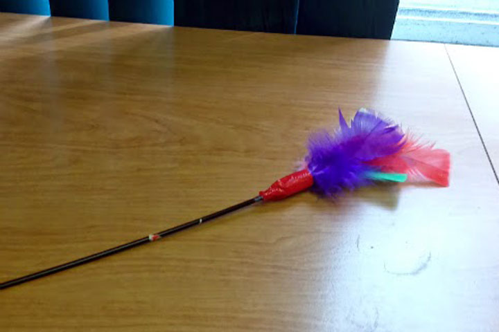 DIY Toys for Cats - Refurbished Feather Wand