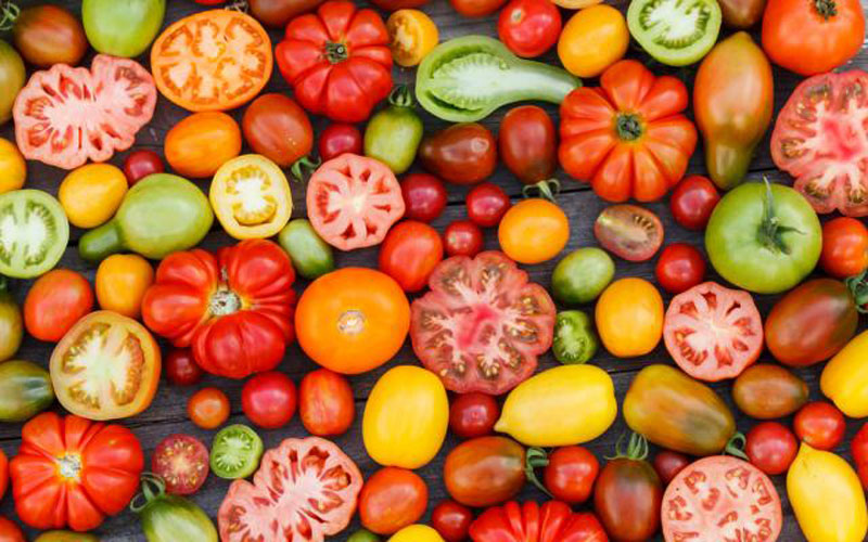 Heirloom Tomatoes Varieties