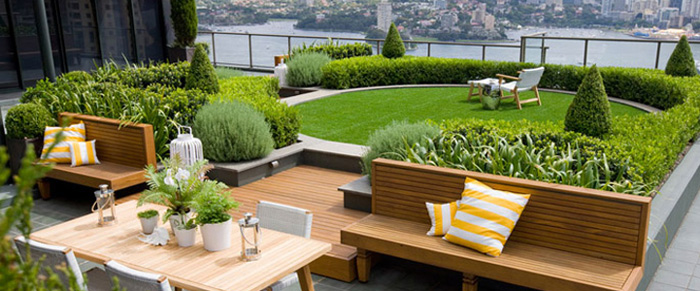 Terrace - Roof Garden