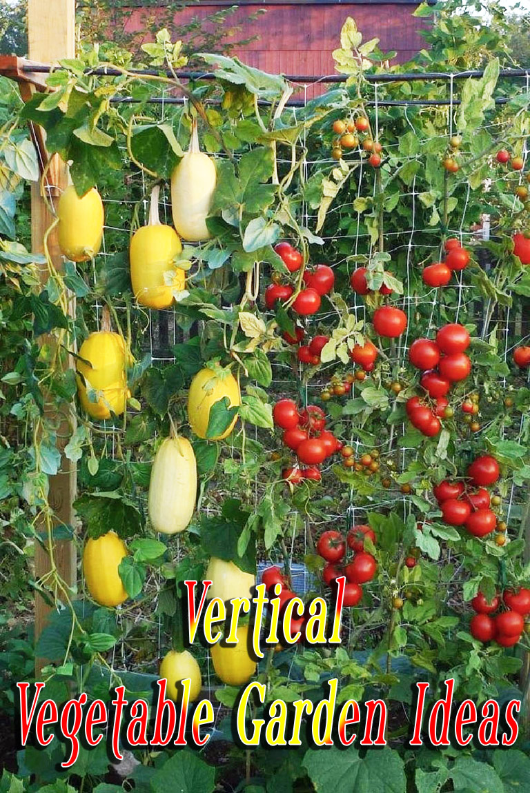 Vertical Vegetable Garden Ideas