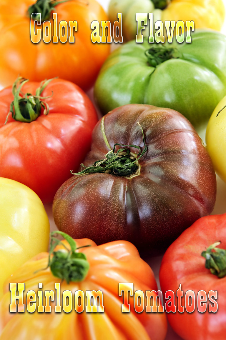 Color and Flavor - Heirloom Tomatoes Varieties