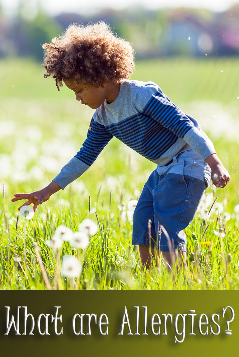 All You Need to Know About Allergies