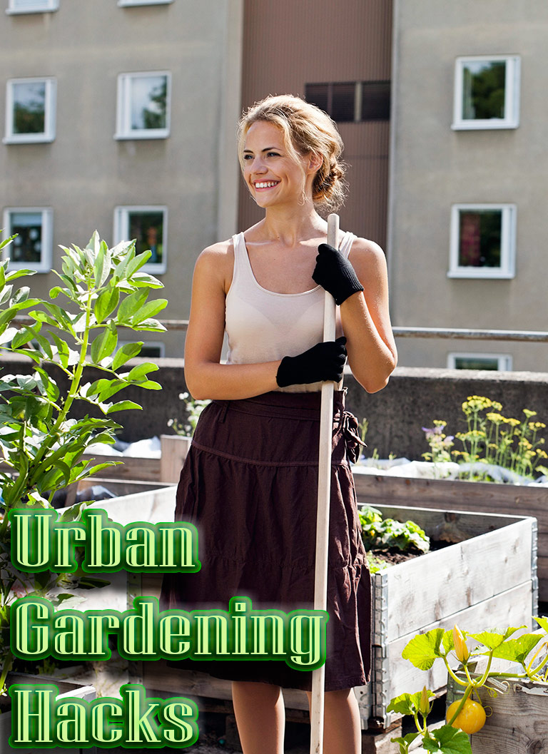 7 Creative Urban Gardening Hacks for Spring