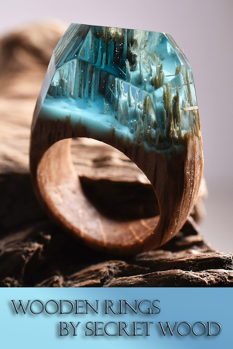 Secret Worlds Inside Wooden Rings By Secret Wood
