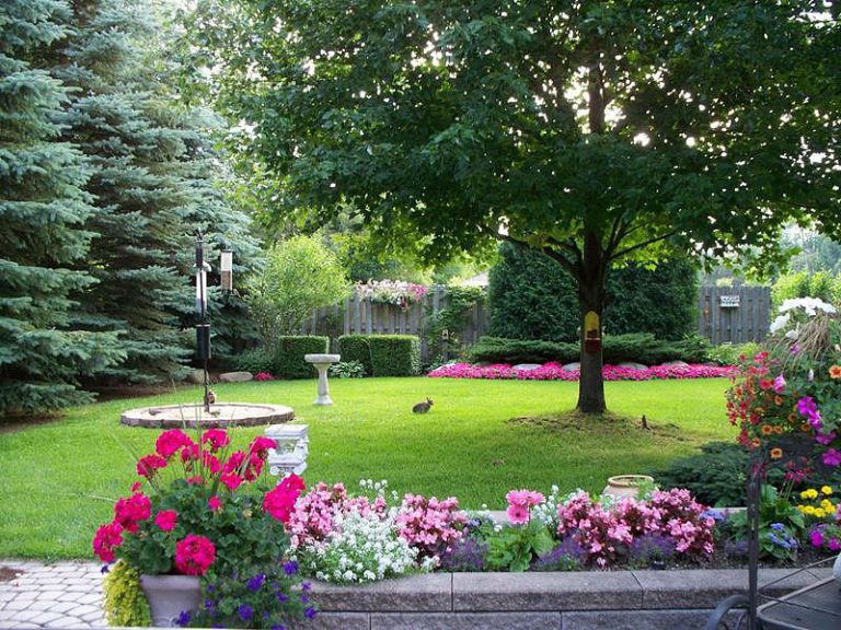 Backyard Landscape Design Ideas