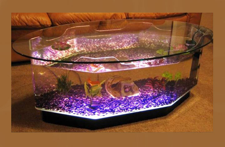 Beautiful Coffee Table Aquariums