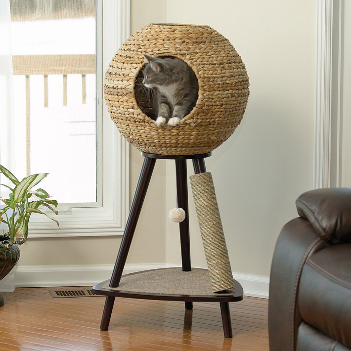 Cat Furniture Design Ideas