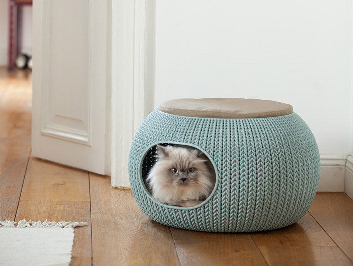 Cat Furniture Design Ideas