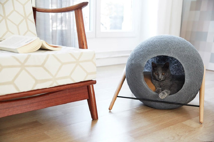 Cat Furniture Design Ideas