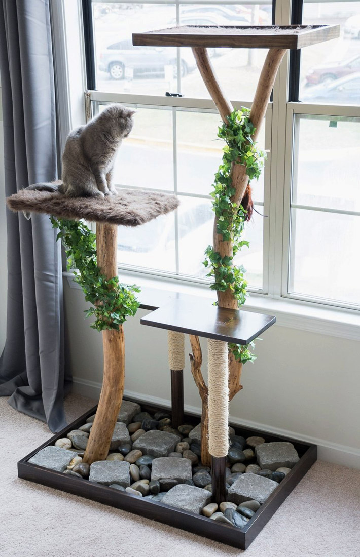 Cat Furniture Design Ideas