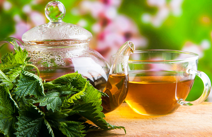 Health Benefits of Nettle Tea