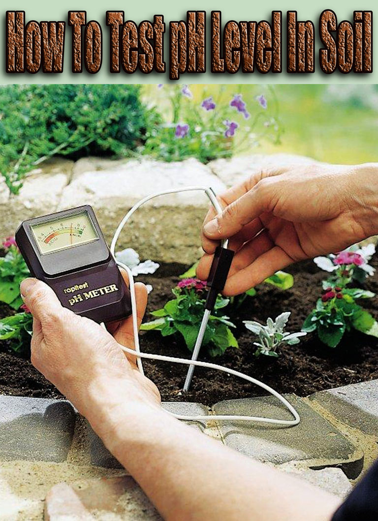 How To Test pH Level In Soil