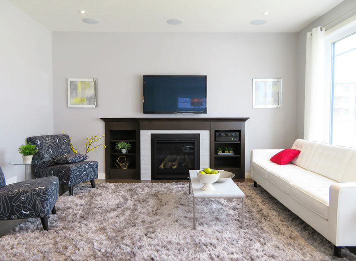 Living Room Carpet Ideas and Photos