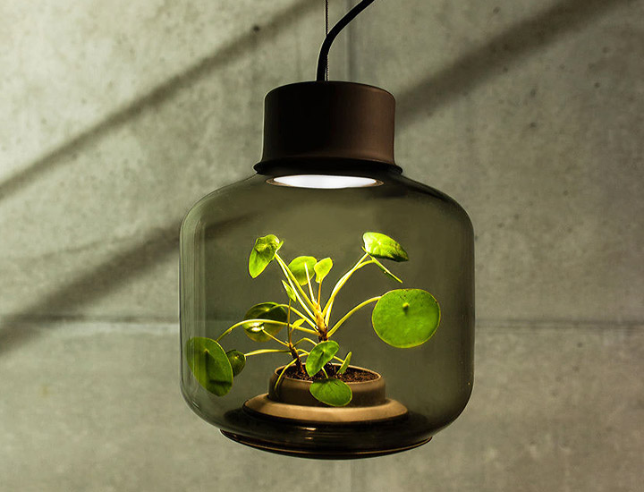 Terrarium Lamps by Nui Studio