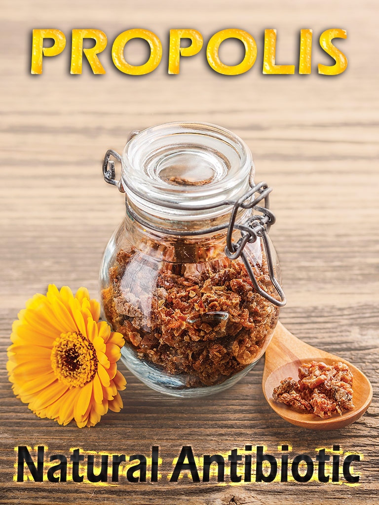 Propolis: A Natural Antibiotic