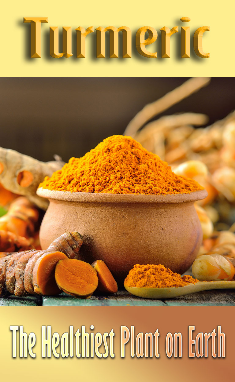 Turmeric - The Healthiest Plant on Earth