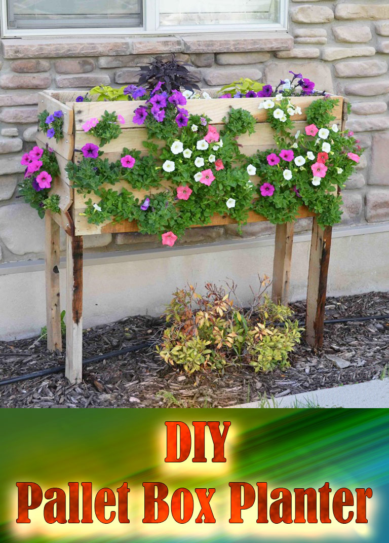 DIY - Pallet Box Planter