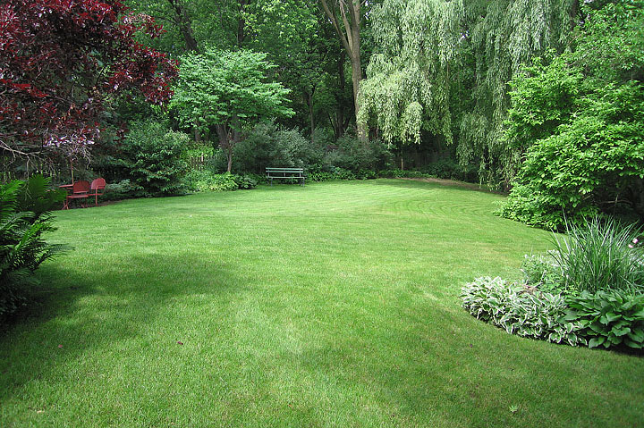 Top 10 Lawn Grass Types