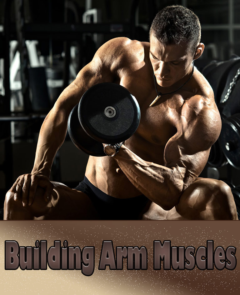 Strength Training: Building Arm Muscles