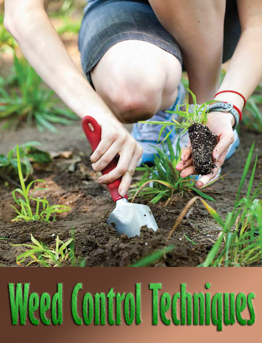 Weed Control Techniques