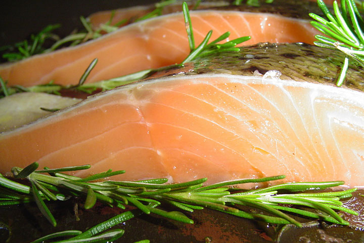 Frankenfish: Canada Approves GMO Salmon