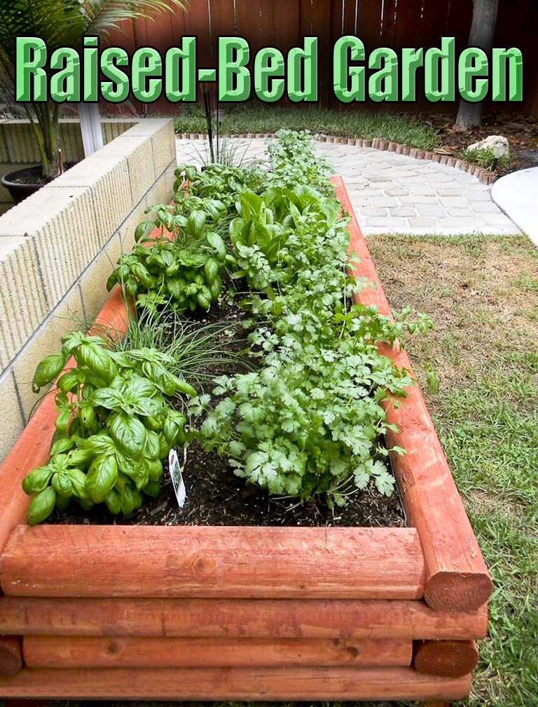 Tips for Making a Raised-Bed Garden