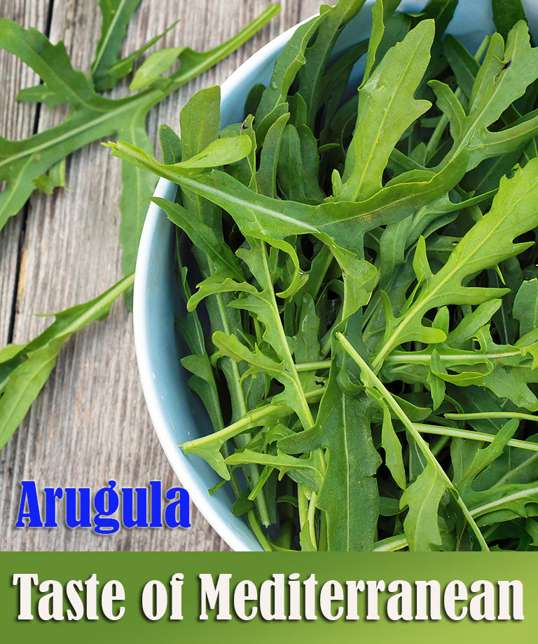 Arugula - Taste of Mediterranean