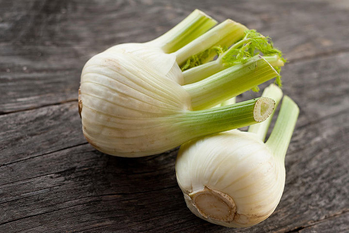 Fennel – Growing Guide