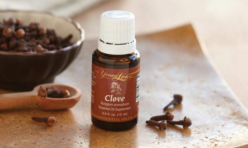 Cloves Super Spice For Healing