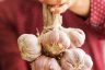 Garlic – Health Benefits