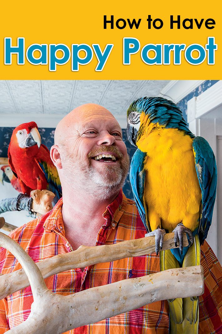How to Have Happy Parrot