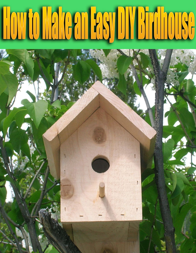 diy bird house