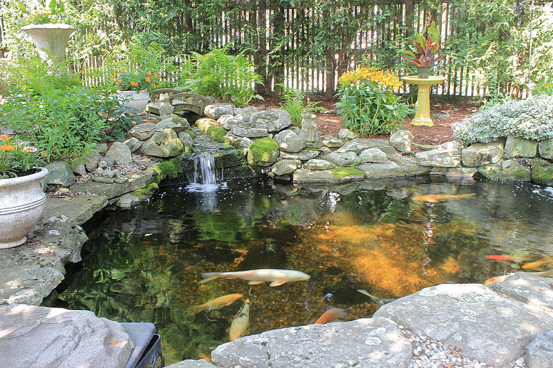 Quiet Corner:Inspiring Backyard Pond Ideas - Quiet Corner