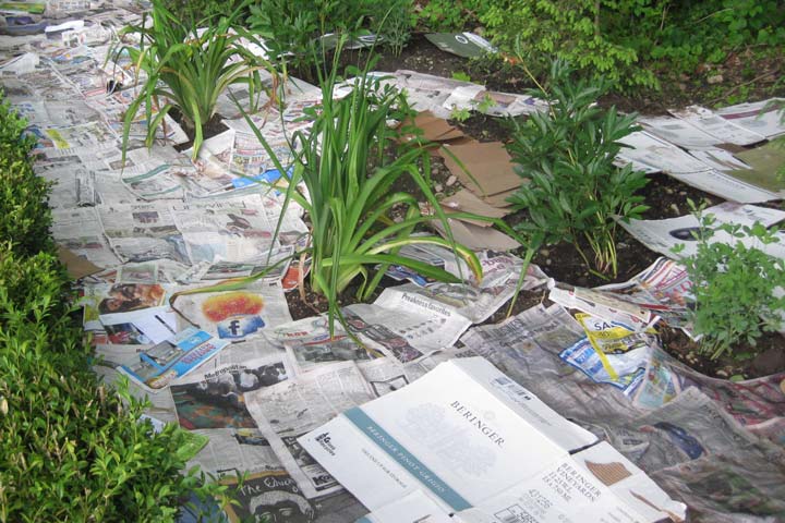 Organic Weed Control