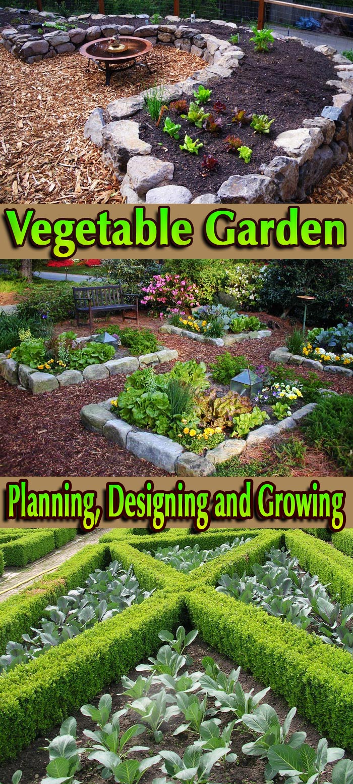 Vegetable Garden – Planning, Designing and Growing