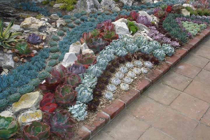 Planting the Rock Garden