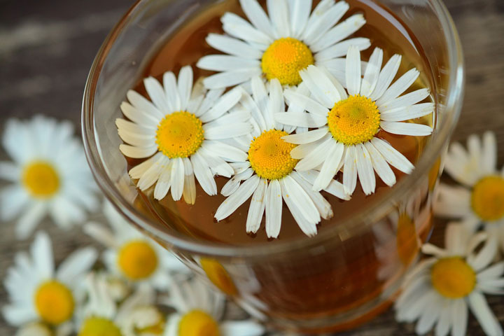 Skincare Benefits of Chamomile