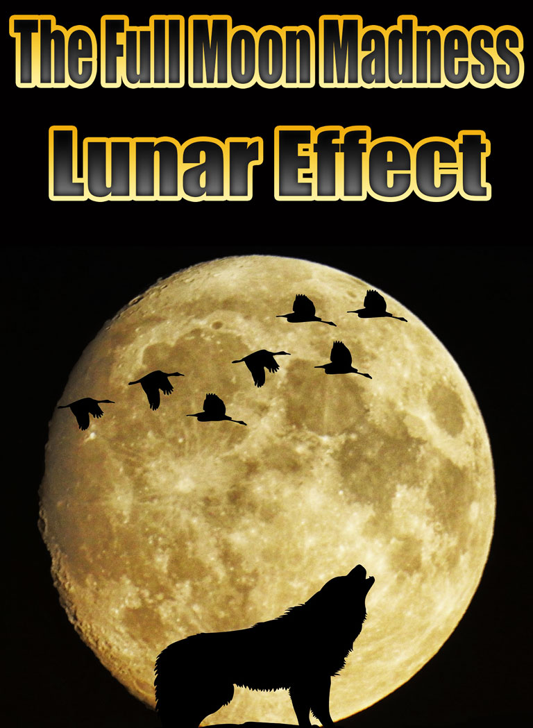 The Full Moon Madness - Lunar Effect