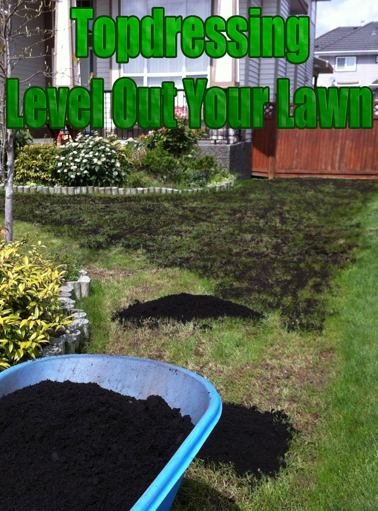 Topdressing - Level Out Your Lawn