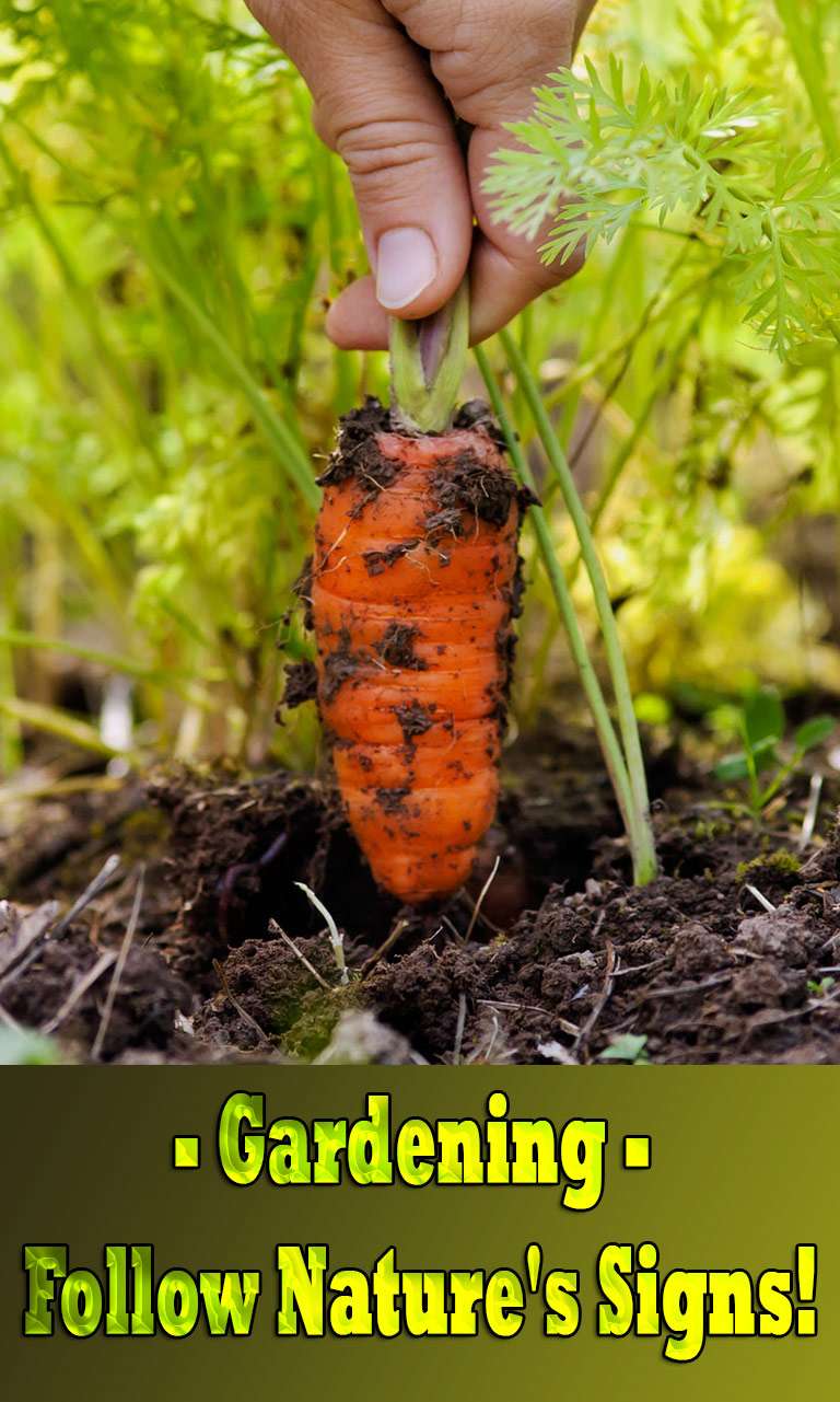 Gardening - Follow Nature's Signs!