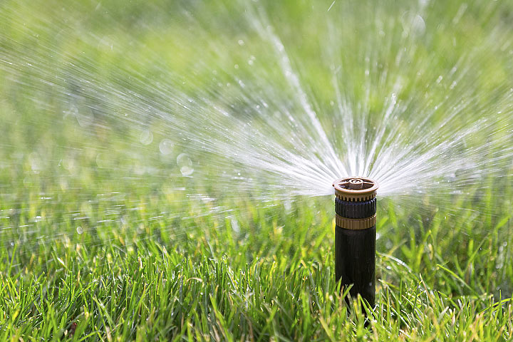 When and How to Water the Lawn