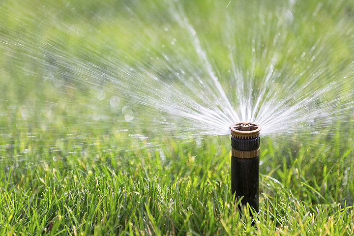 When and How to Water the Lawn