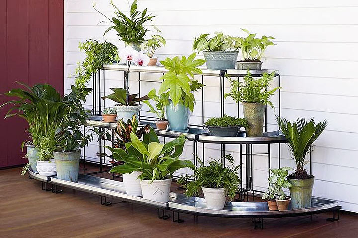 Create a Container Garden