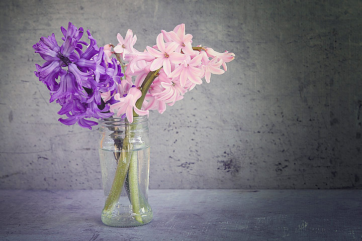 How to Keep Flowers Fresh Longer?