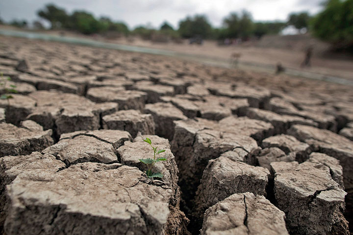 India Records Highest Temperature Ever